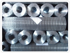 Anticorrosión longitud soldada con autógena 1/4 pulgada de Mesh Electric Galvanized Net los 5-50m del alambre